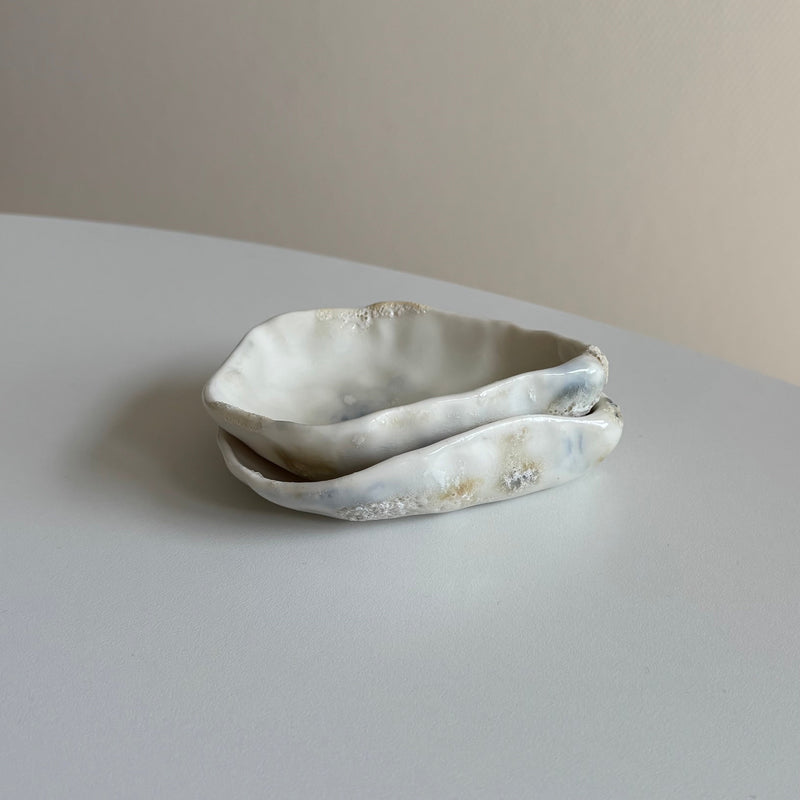 Porcelæns muslingeskal - natur