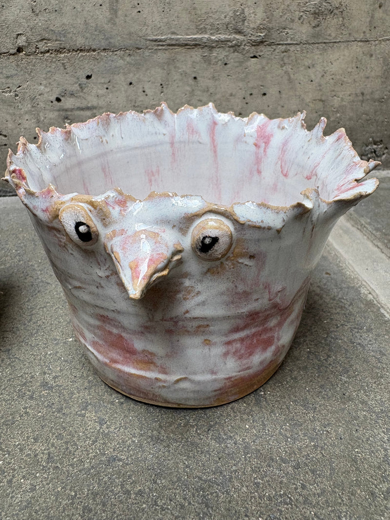 Birdiez,stor