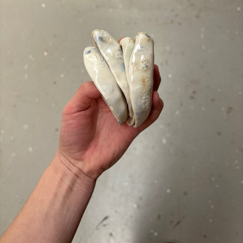 Porcelæns muslingeskal - natur
