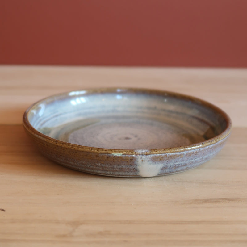 Flad skål, skovbund (kopi)