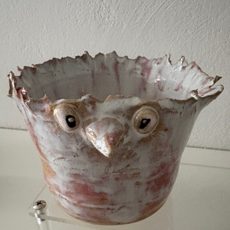 Birdiez,stor