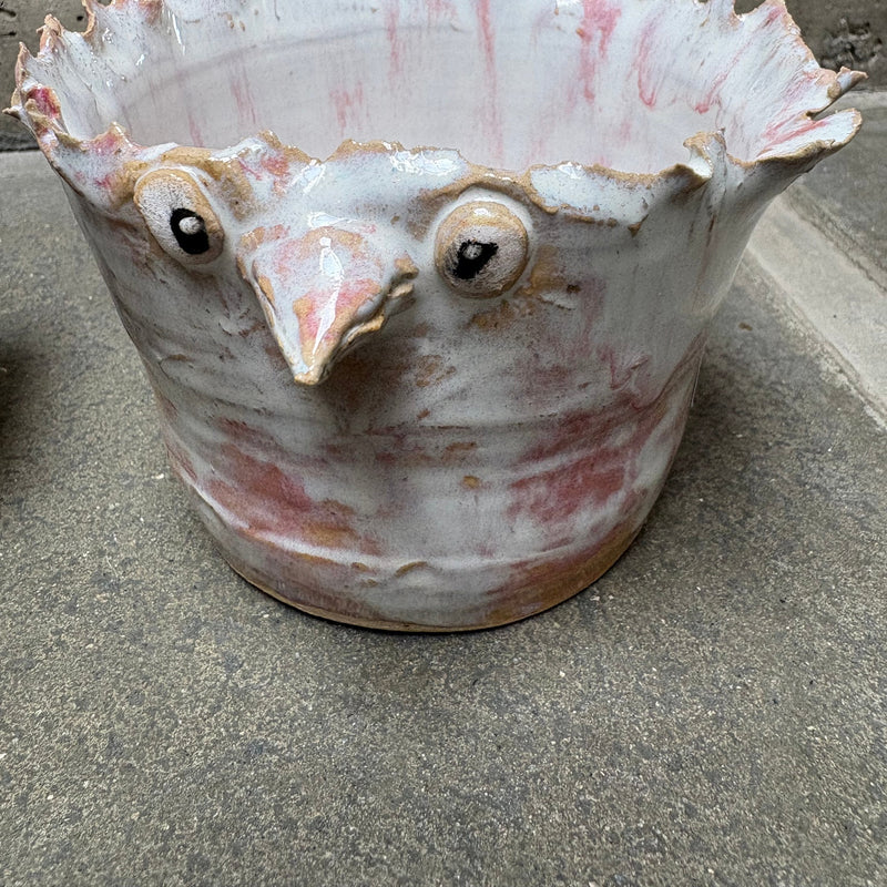 Birdiez,stor