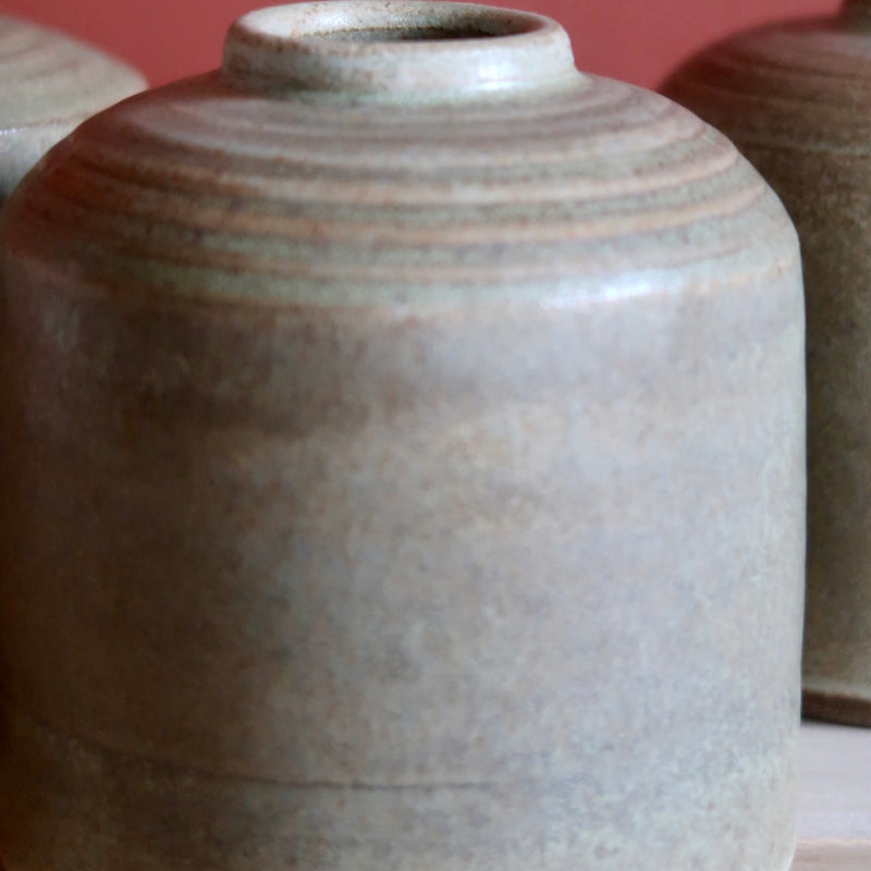 Vase, mos